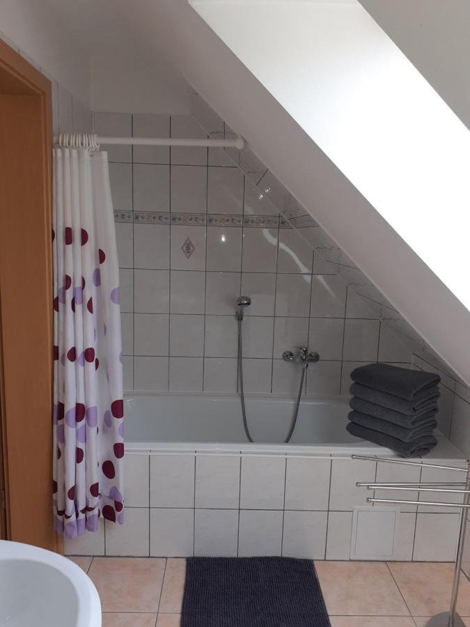 Apartment 488 Tisa